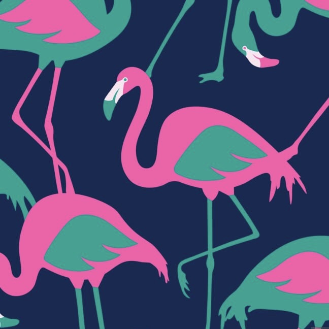 Jover Walker Cover - Flamingle | Flamingo Pattern with Pockets & Matching Storage Bag