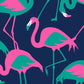 Jover Walker Cover - Flamingle | Flamingo Pattern with Pockets & Matching Storage Bag
